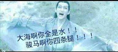 花千骨马可表情包