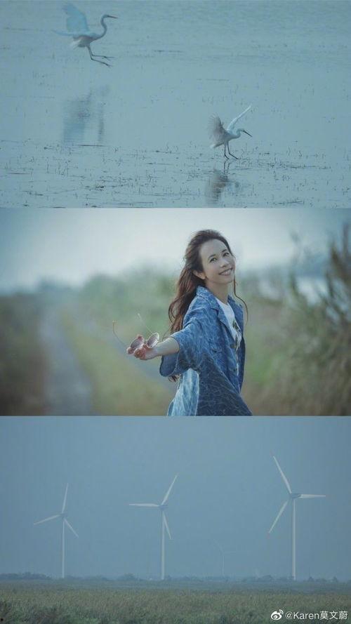 明星来崇明,明星探访记